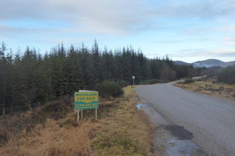 undefined, Loch Shinside Wood, Lairg IV27