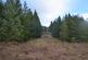 Additional image 2 of Loch Shinside Wood, Lairg IV27