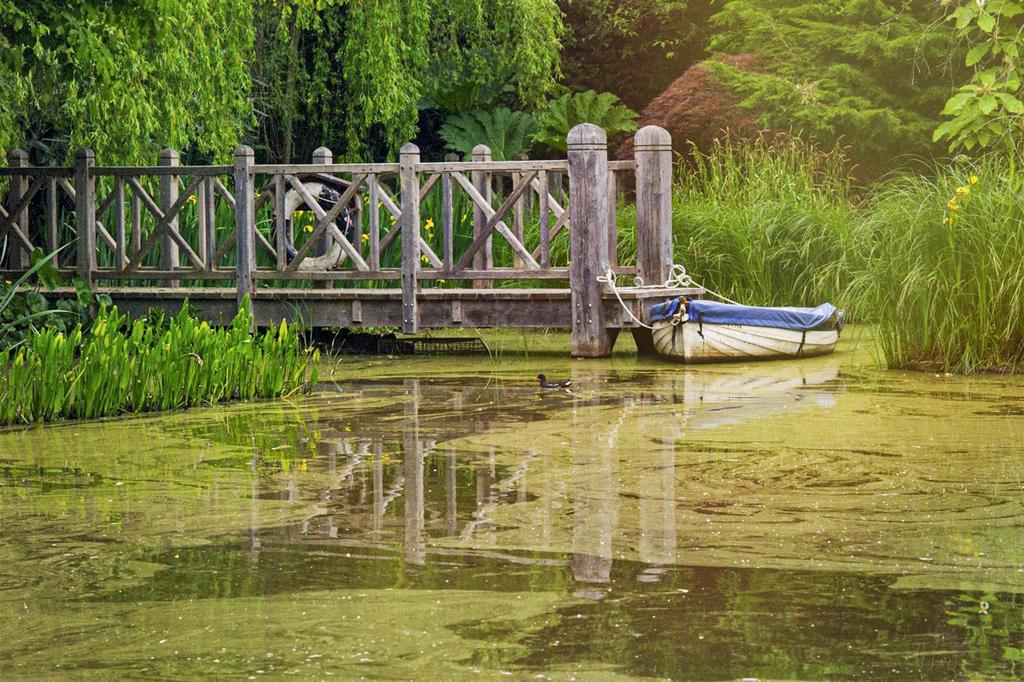 Pond View