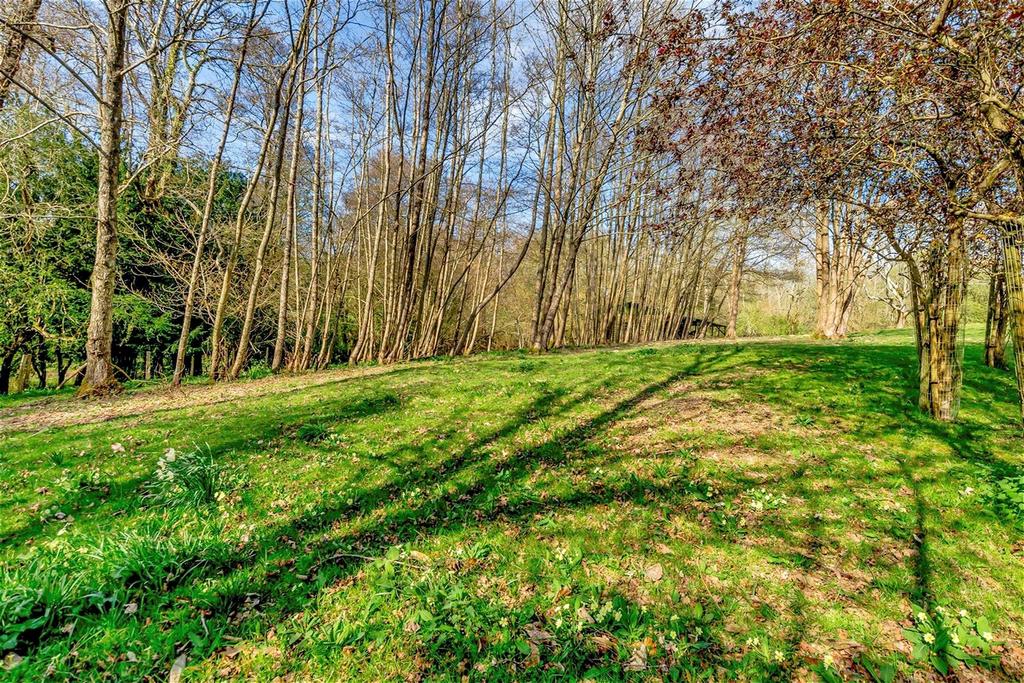 Rear View Garden