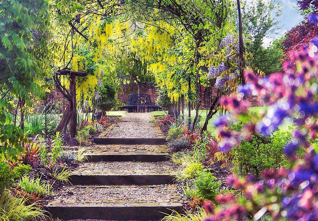 Rear View Of Garden