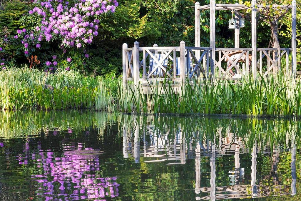 Pond View