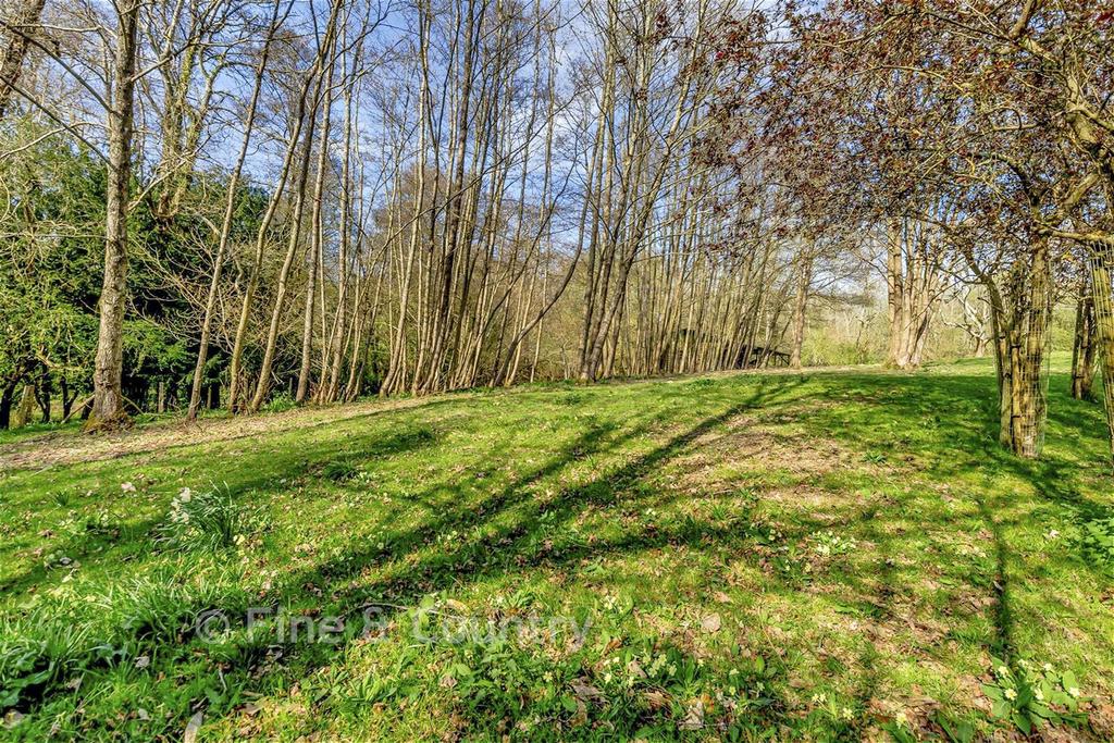Rear View Garden