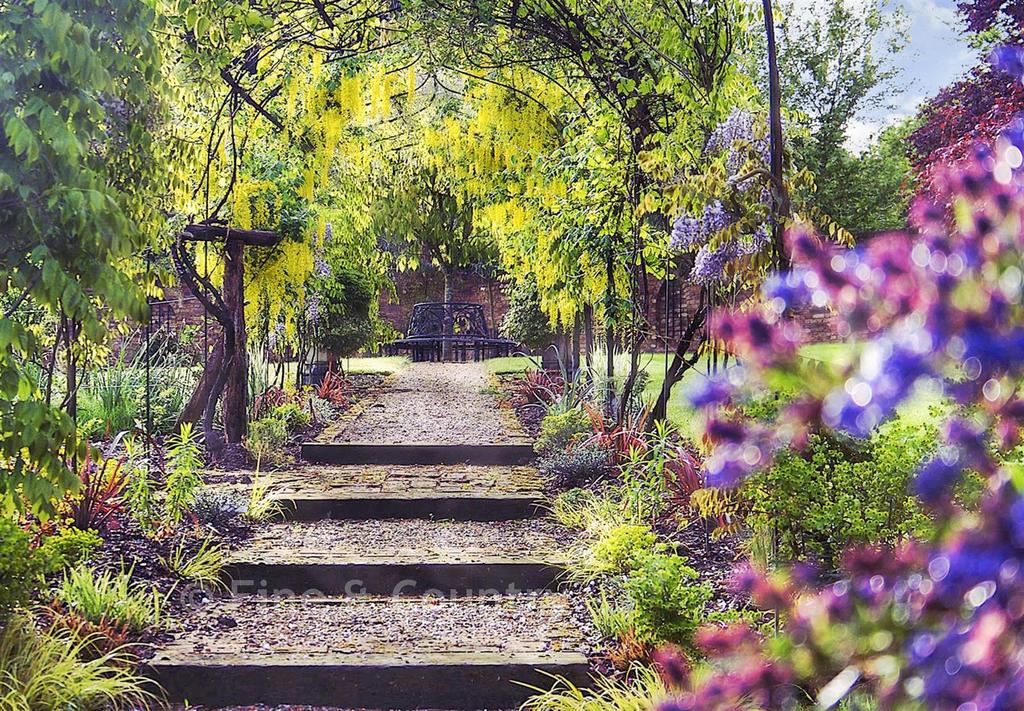 Rear View Of Garden
