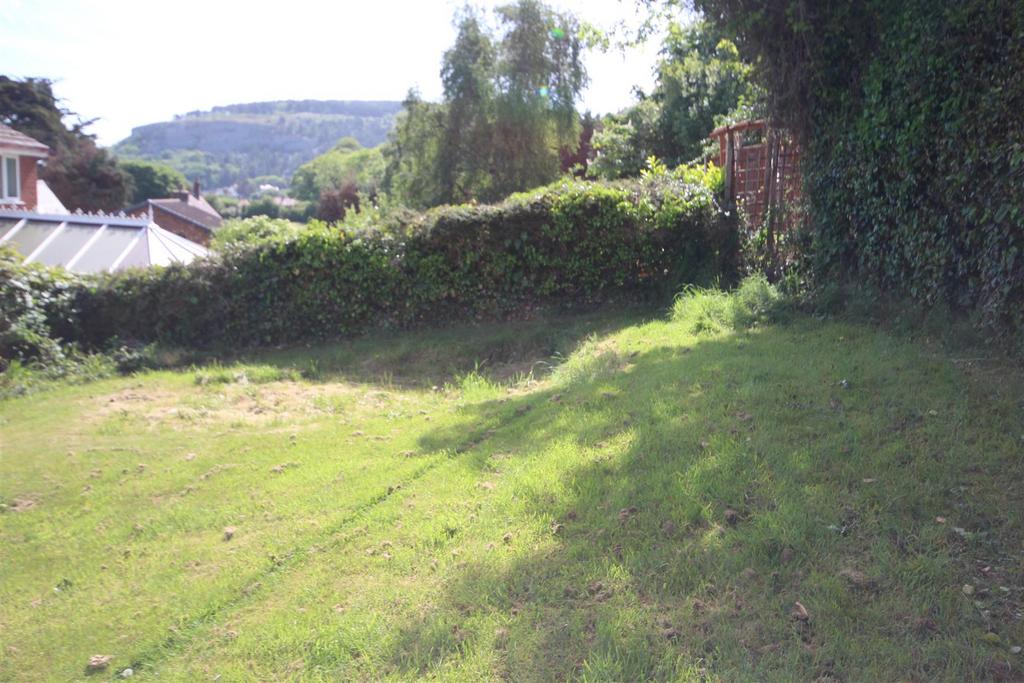 Img 9619.jpg