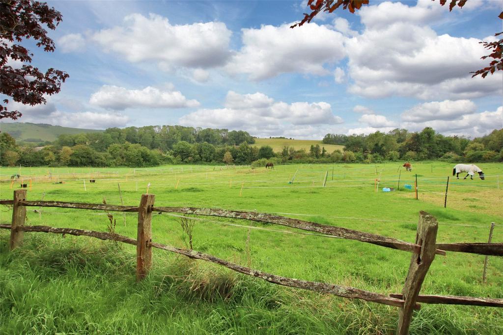 Paddock and View