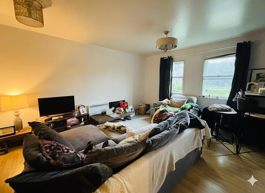 Living / Dining Area: