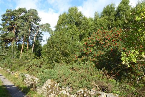 Woodland for sale, Park Wood, Drumoak AB31
