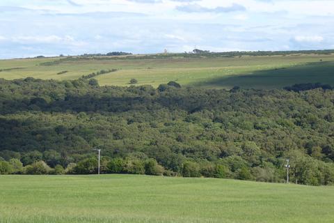 undefined, Riding Copse, Stocksfield NE42