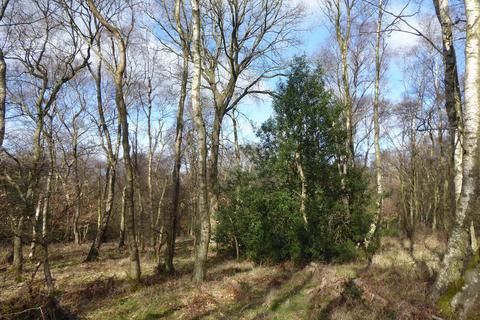 undefined, Riding Copse, Stocksfield NE42