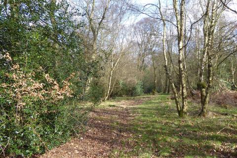undefined, Riding Copse, Stocksfield NE42