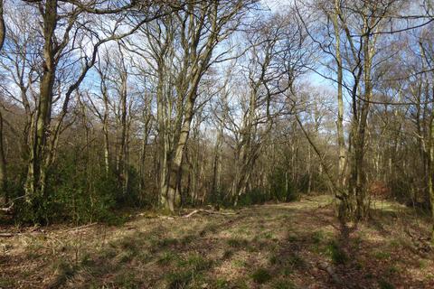 undefined, Riding Copse, Stocksfield NE42