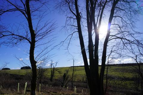 undefined, Rookham Plantation, Near Wells BA5