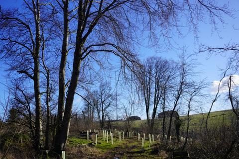 undefined, Rookham Plantation, Near Wells BA5
