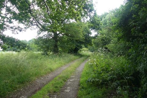 undefined, Samara Wood, Eakring NG22