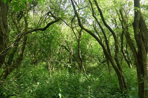 undefined, Samara Wood, Eakring NG22