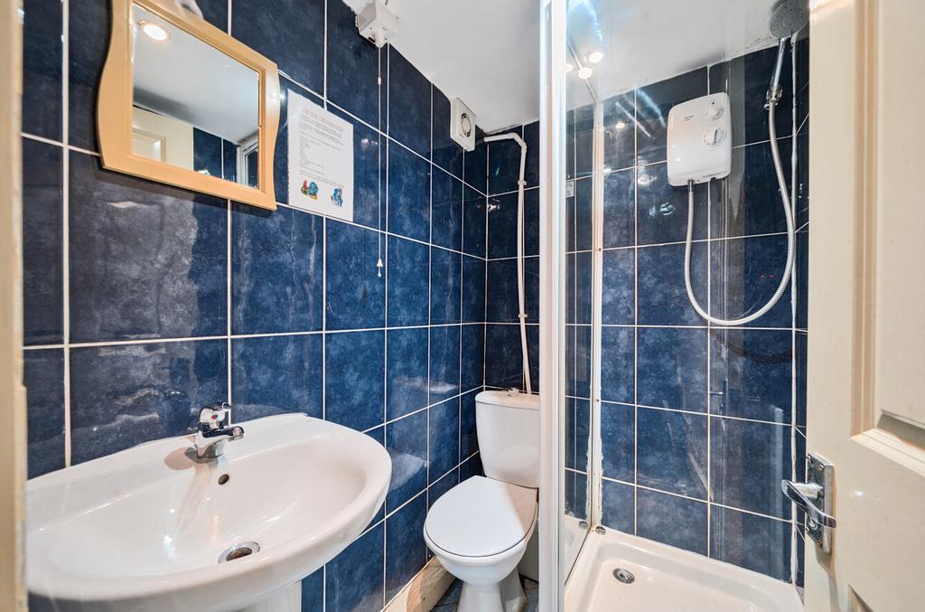 Basement Shower Room