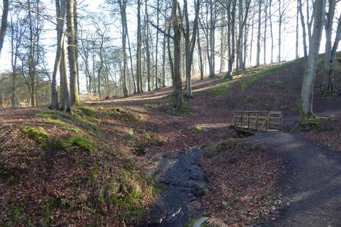 undefined, Scone Den, Scone PH2