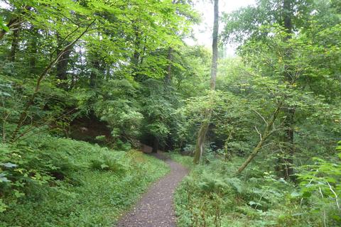 undefined, Scone Den, Scone PH2