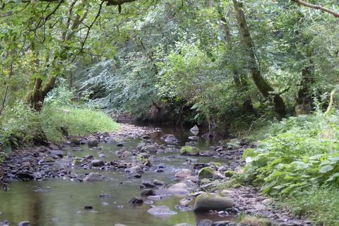 undefined, Scone Den, Scone PH2