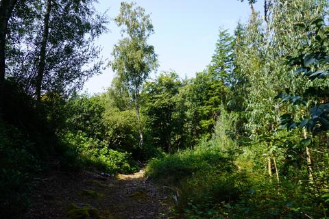 Woodland for sale, Stowell Wood, Chard TA20