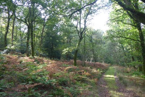 undefined, The Clift, near Tiverton EX16