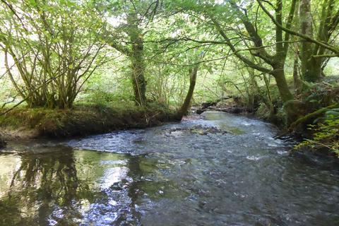 undefined, The Clift, near Tiverton EX16