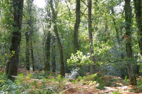 undefined, The Clift, near Tiverton EX16