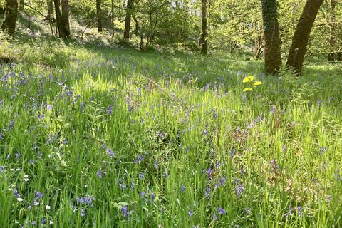 undefined, The Clift, near Tiverton EX16