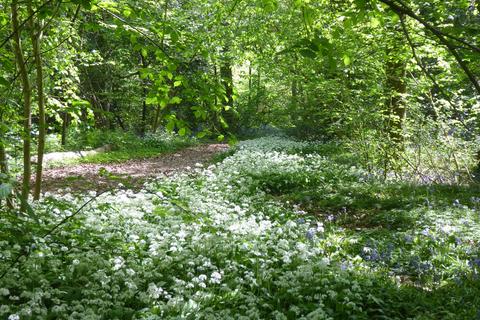 undefined, The Glade, Rhewl LL15