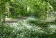 The Glade, Rhewl LL15 photo 3