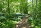 The Glade, Rhewl LL15 photo 4