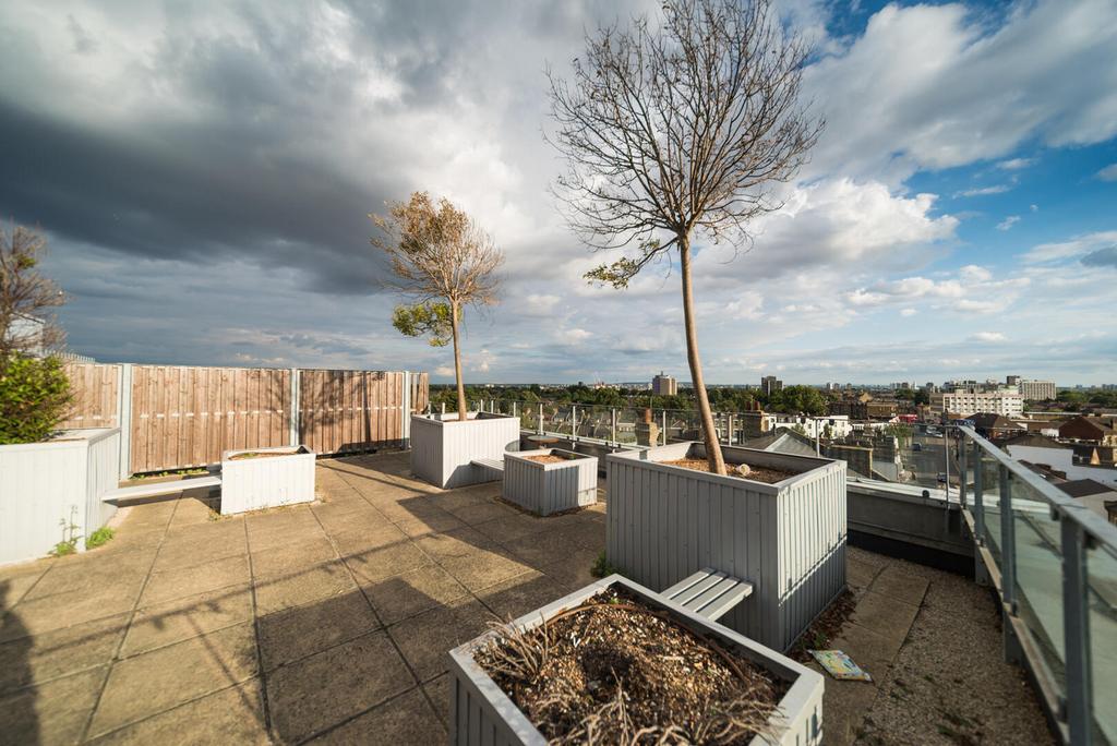 Terrace / Patio