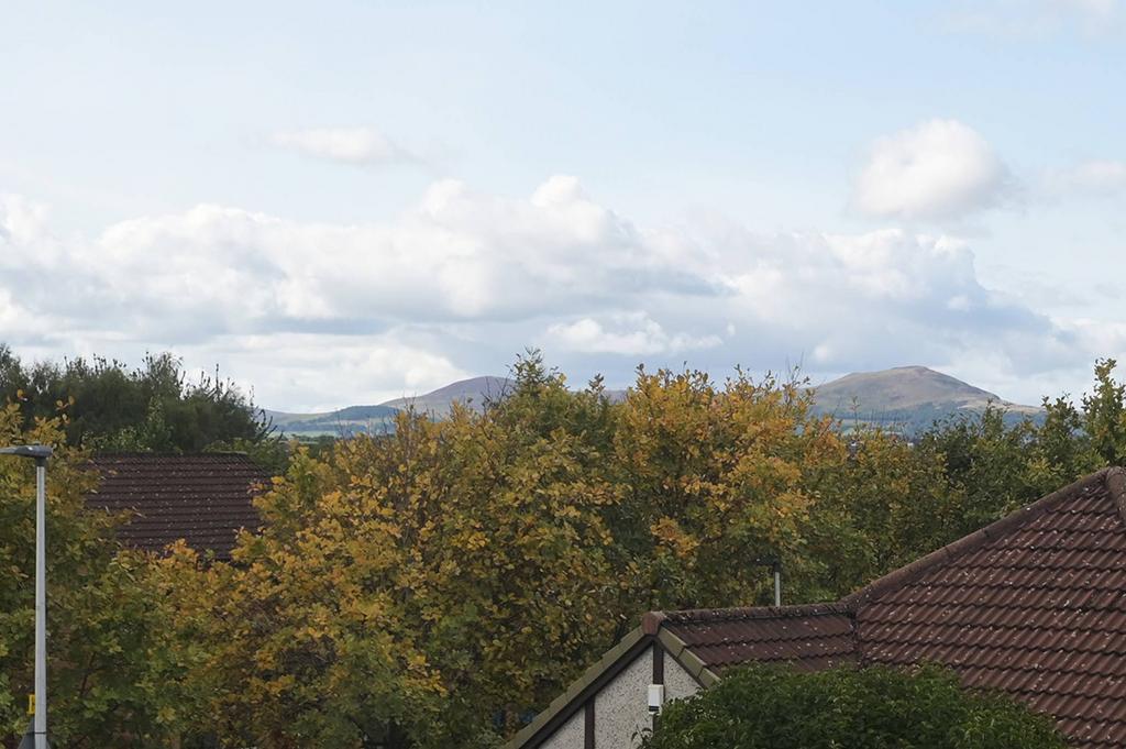 MFL7240232 254.jpg
