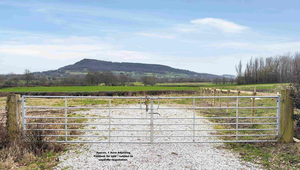 Adjoining paddock