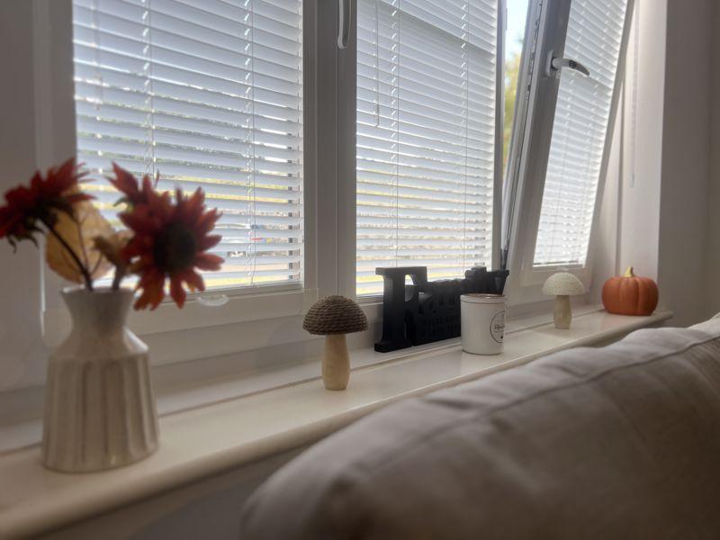 Living Room Feature