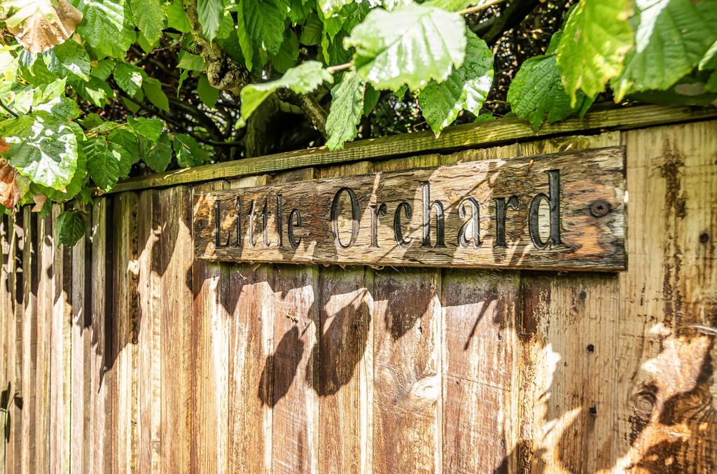 1347318-5-68b5ad1...