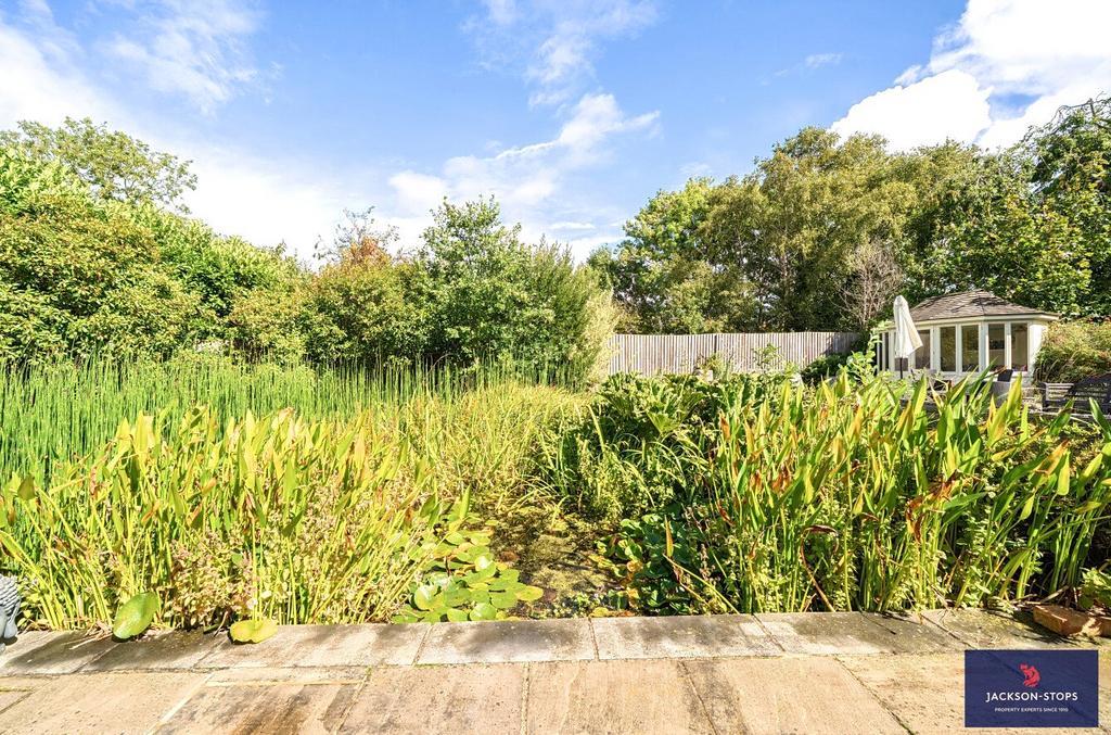 Terrace & Pond