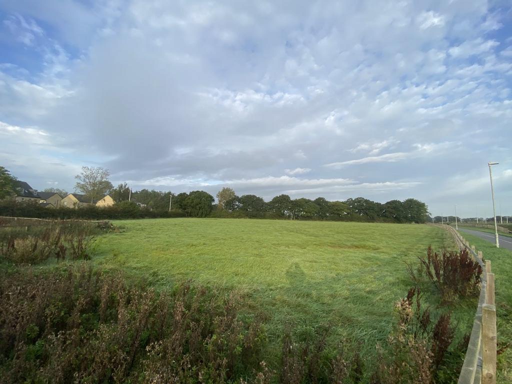 Img 2315.jpg