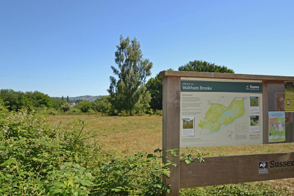 Waltham Brooks 2