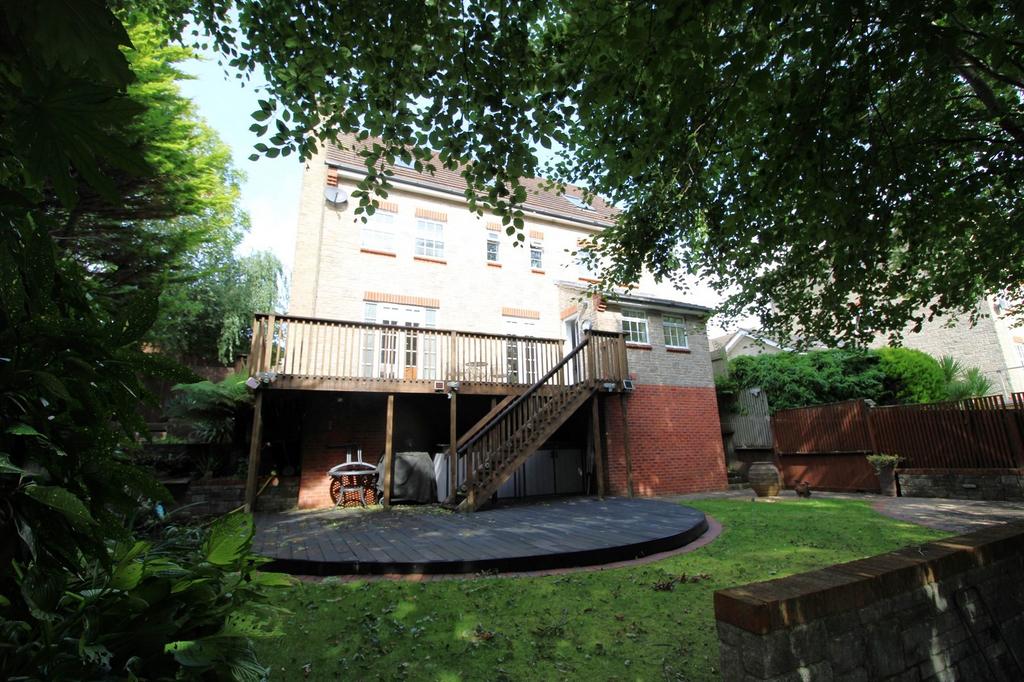 Main Image