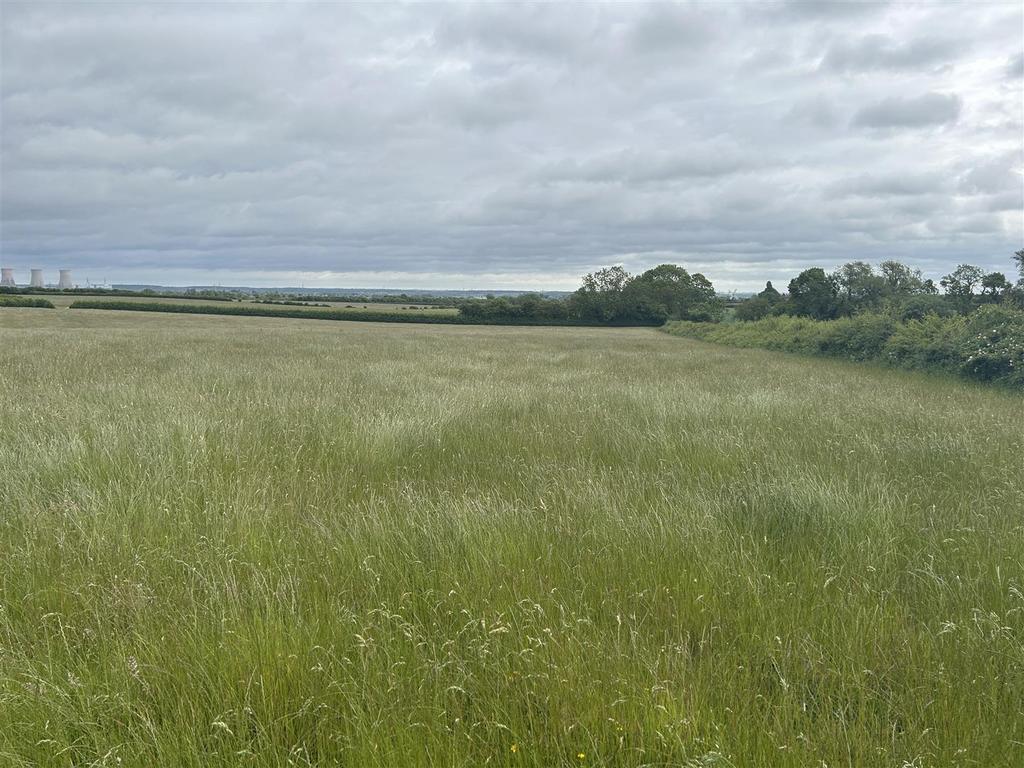 Img 8617.jpg