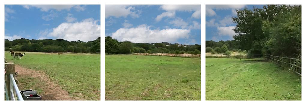 Waseley Field, Rubery.