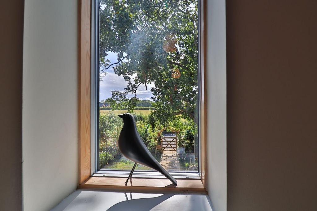 Window view