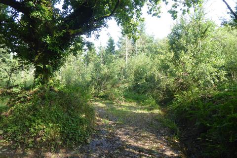 undefined, Lot 2 Tynton Wood, near Llanelli SA15