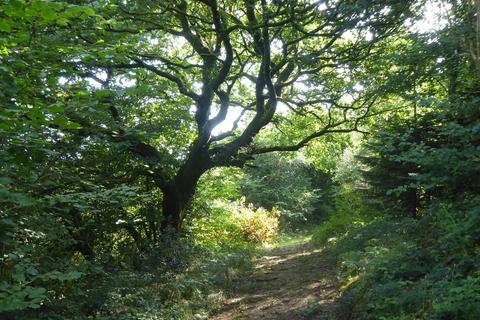 undefined, Lot 2 Tynton Wood, near Llanelli SA15