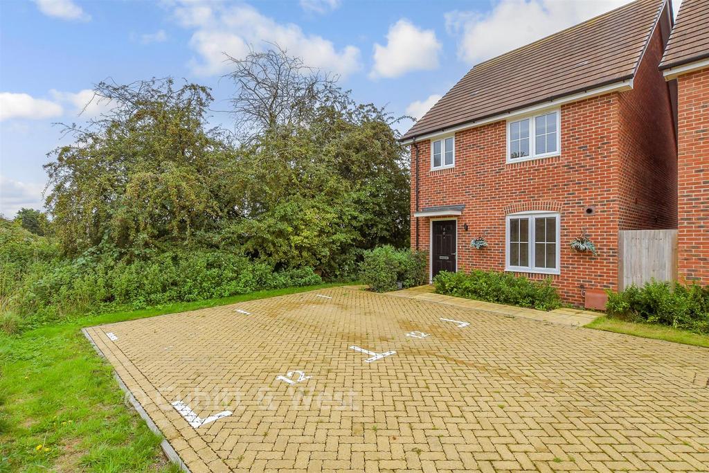 Driveway/Parking