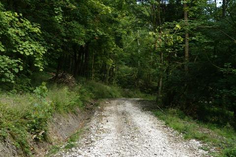 undefined, Highview Wood, near Wirksworth DE4