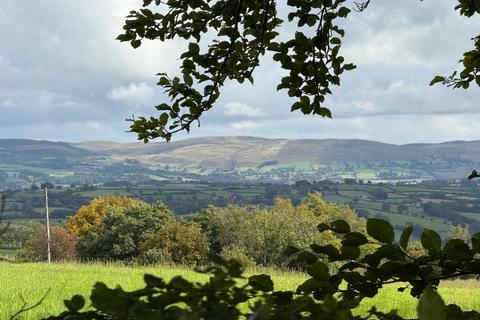 undefined, Penuwch, Tregaron, SY25