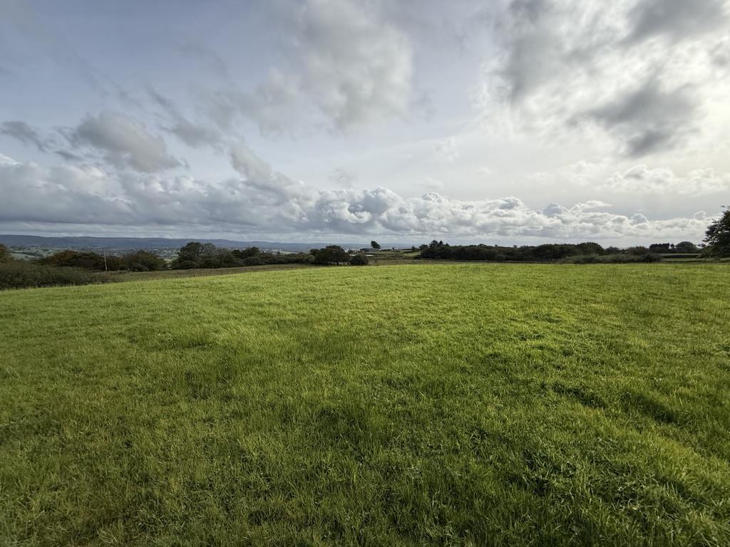 The Land